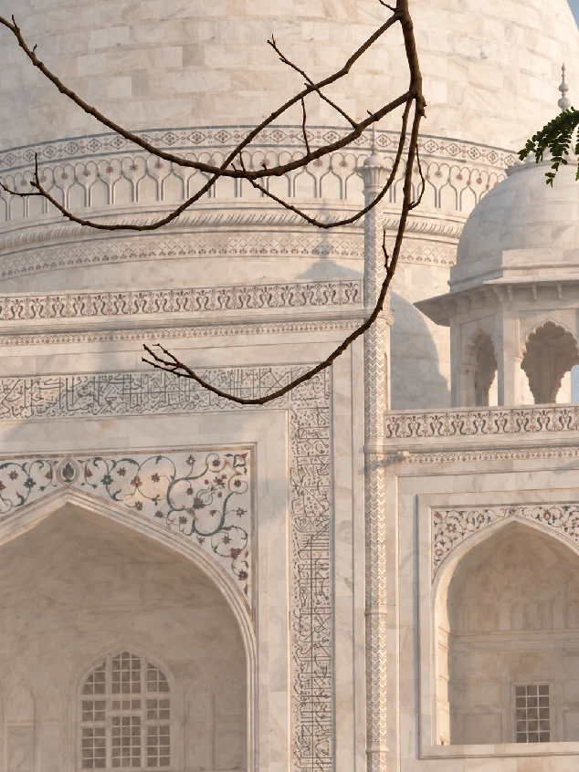 The marble dome of the Taj Mahal behind a bare branch